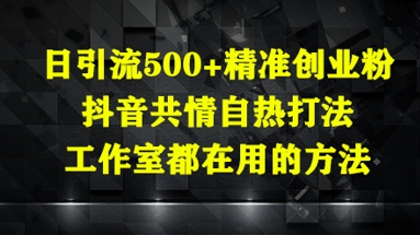 日引流500+精准创业粉，抖音共情自热打法，工作室都在用的方法-慧创网