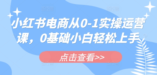 小红书电商从0-1实操运营课，0基础小白轻松上手-慧创网