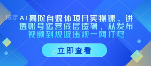 AI高阶自媒体项目实操课，讲透账号运营底层逻辑，从发布视频到规避违规一网打尽-慧创网