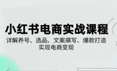 小红书从0-1实操课(2023-2025)，详解养号、选品、文案撰写、爆款打造实现电商变现-慧创网