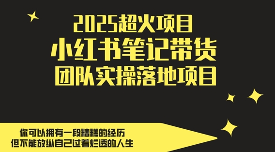 2025超火项目，副业最佳选择，小红书笔记带货团队实操落地项目，，轻松日入5张-慧创网