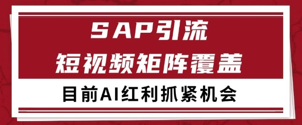 小红书某音sap赛道引流获客 自热矩阵日引200+【揭秘】-慧创网