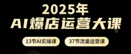 2025年AI爆店运营大课，13节AI实操课+37节流量运营课-慧创网