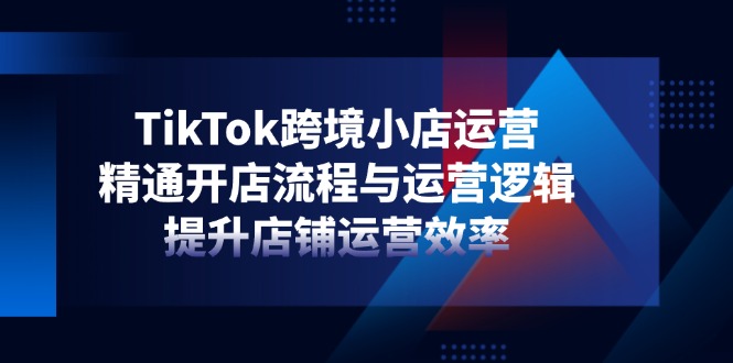 （14369期）TikTok跨境小店运营，精通开店流程与运营逻辑，提升店铺运营效率-慧创网