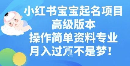 小红书宝宝起名项目高级版本，操作简单，资料专业，月入过W-慧创网