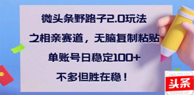 （14334期）微头条野路子2.0玩法之相亲赛道，无脑搬砖复制粘贴，单账号日稳定300+…-慧创网