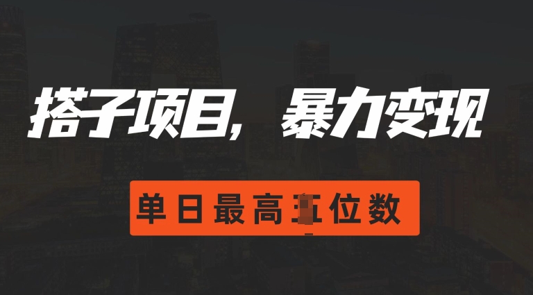 2024搭子玩法，0门槛，暴力变现，单日最高破四位数【揭秘】-慧创网