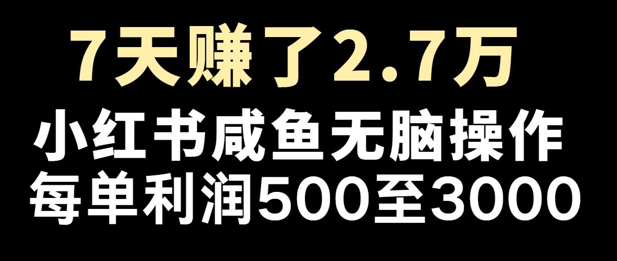 （14183期）最赚钱项目之一，2025爆火，逆风翻盘！-慧创网