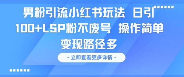 男粉引流小红书玩法，日引100+LSP粉不废号，操作简单，变现路径多-慧创网