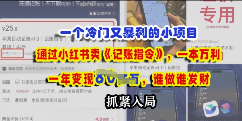 一个冷门需求，通过小红书卖《记账指令》，一本万利，谁做谁发，抓紧入局-慧创网