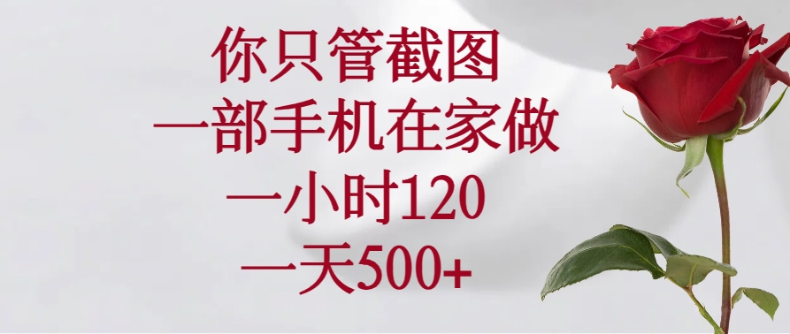 （14248期）你只管截图，一部手机在家做，一小时120，一天500+-慧创网