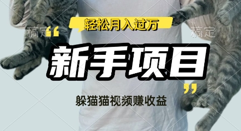 利用老外躲猫猫大赛视频，挣分成收益，操作简单，新手小白，轻松月入过W-慧创网
