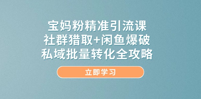 （14820期）宝妈粉精准引流课，社群猎取+闲鱼爆破，私域批量转化全攻略-慧创网