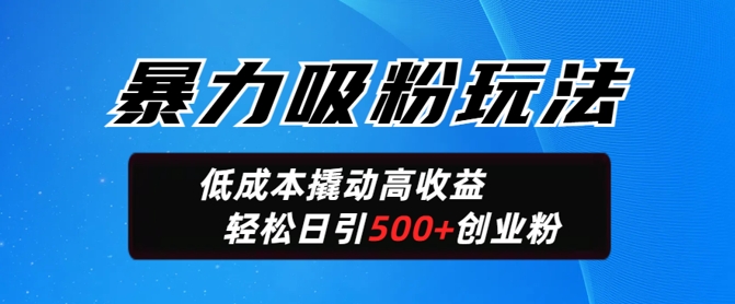 暴力吸粉玩法，日引500+精准创业粉，日变现轻松多张-慧创网