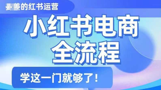 小红书电商全流程，精简易懂，从入门到精通，学这一门就够了-慧创网