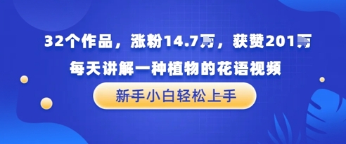 32个作品，涨粉14.7W，获赞201W，每天讲解一种植物的花语视频，无需任何技巧，新手小白轻松上手-慧创网