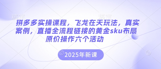 拼多多实操课程，飞龙在天玩法，真实案例，直播全流程链接的黄金sku布局原价操作六个活动-慧创网