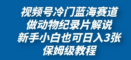 视频号冷门蓝海赛道，做动物纪录片解说，新手小白也日入3张，保姆级教程-慧创网