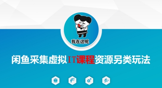 闲鱼采集虚拟IT课程资源另类玩法，干货满满-慧创网