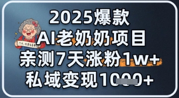 2025爆款 AI 老奶奶项目：亲测 7 天涨粉 1W+，私域变现 1k+-慧创网