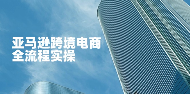 （14252期）亚马逊跨境电商全流程实操，教你从零开始，掌握店铺运营与广告技巧-慧创网