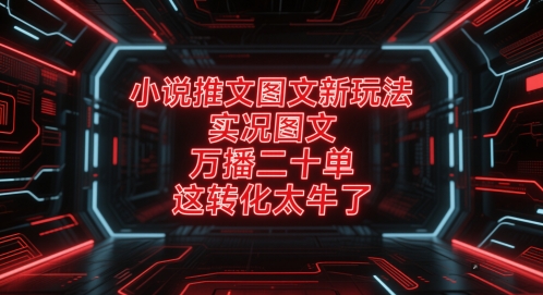 小说推文图文新玩法，实况图文，万播二十单，这转化太牛了！-慧创网