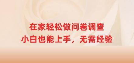 在家轻松做问卷调查，小白也能上手，无需经验-慧创网