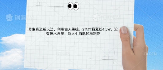 AI养生赛道新玩法，10条作品涨粉5.2W，操作简单，新人小白能轻松制作-慧创网