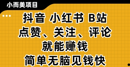 小而美的项目，抖音小红书B站视频点赞、关注、评论就能挣钱，简单无脑立见收益，妥妥的零撸项目【揭秘】-慧创网