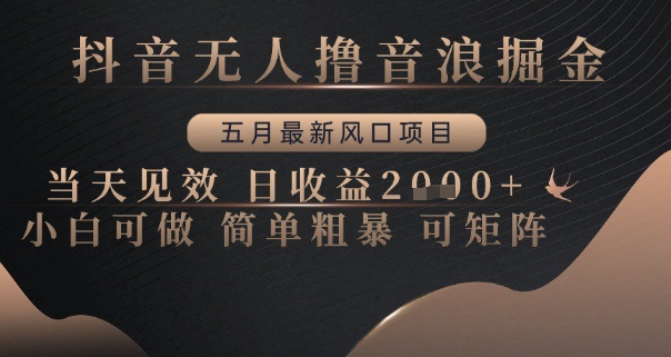 抖音无人撸音浪掘金，五月最新风口项目，当天见效，日收益多张，小白可做简单粗暴可矩阵【揭秘】-慧创网