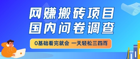 网创搬砖项目，国内问卷调查，小白轻松上手，一天三四张的也不难，干就完了【揭秘】-慧创网