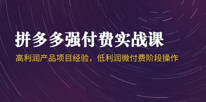 （14874期）拼多多强付费实战课-44期，高利润产品项目经验，低利润微付费阶段操作-慧创网