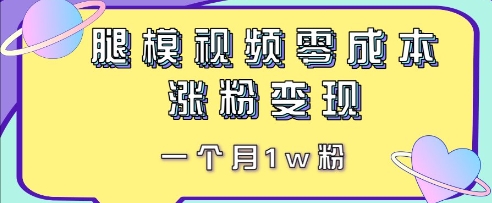 腿模视频，零成本涨粉变现，一个月1w粉-慧创网