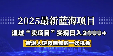 2025年首次揭秘如何通过“网创项目”日入多张【揭秘】-慧创网