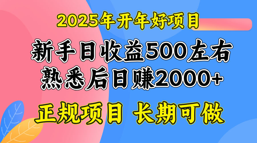 （14076期）2025开年好项目，单号日收益2000左右-慧创网
