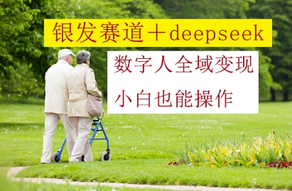银发赛道+deepseek数字人全域变现，小白也能操作-慧创网