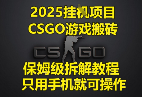 2025挂G项目，CSGO游戏搬砖，保姆级拆解教程，只用手机就可操作【揭秘】-慧创网