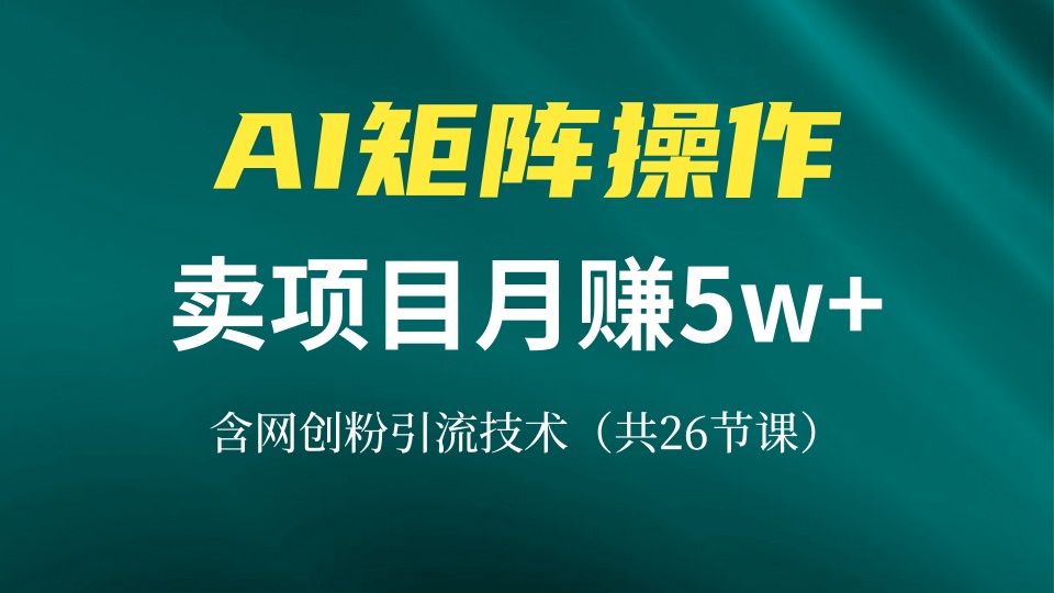 网创IP打造课，借助AI卖项目月赚5万+，含引流技术(共26节课-慧创网
