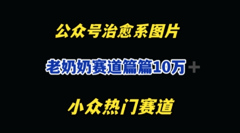 公众号老奶奶治愈系流量主，篇篇10W+-慧创网