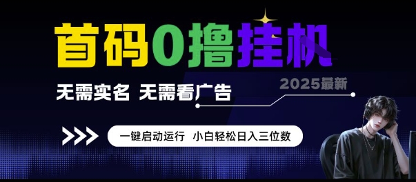 首码0撸挂G项目，无需实名无需看广告 一键启动运行，小白轻松日入三位数【揭秘】-慧创网