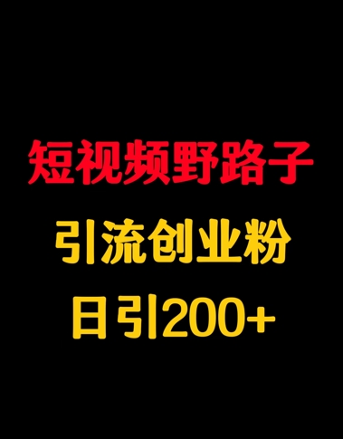 短视频野路子引流创业粉，日引200+-慧创网