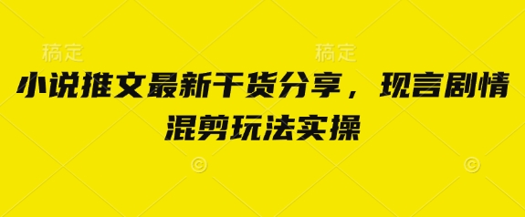 小说推文最新干货分享，现言剧情混剪玩法实操-慧创网