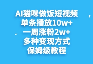 AI猫咪做饭短视频，单条播放10w+，一周涨分2w+，多种变现方式，保姆级教程-慧创网
