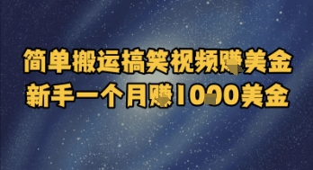 简单搬运搞笑视频挣美金，新手一个月入1k美金-慧创网
