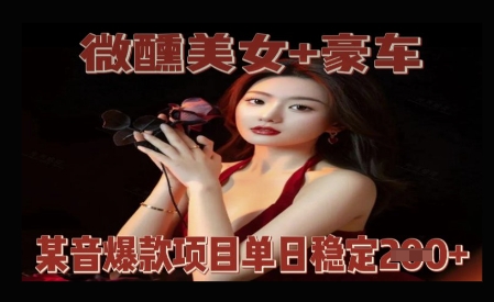 微醺美女+豪车，抖音爆款项目单日稳定2张+-慧创网