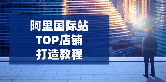 （14269期）阿里国际站TOP店铺打造教程：涵盖平台到高阶，解决运营难题，提升询盘-慧创网