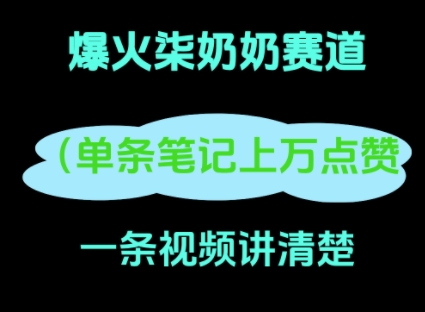 小红书爆火柒奶奶，13 天涨粉 8.7 W，全流程拆解-慧创网