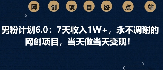 男粉计划6.0：7天收入1W+，永不凋谢的网创项目，当天做当天变现-慧创网