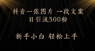 每天2分钟，抖音一张图片 一段文案日引流500粉-慧创网