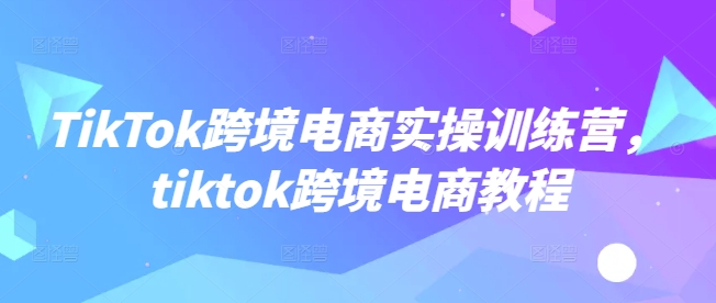 TikTok跨境电商实操训练营，tiktok跨境电商教程-慧创网